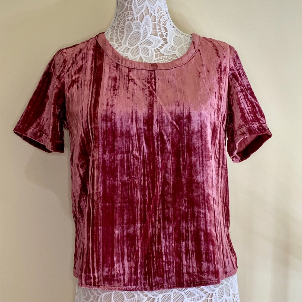 Splendid Women's Velvet Short Sleeve Tee Ruby - Picture 2 of 8